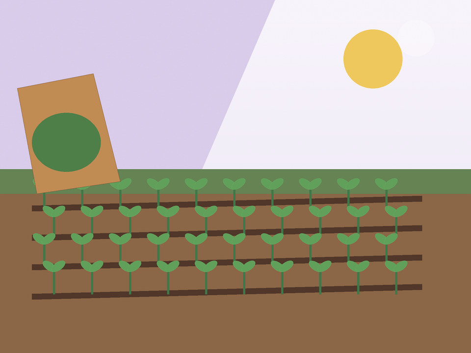 Unieke skakelillustrasie vir Wat om in die lente in Potchefstroom te plant — en wanneer