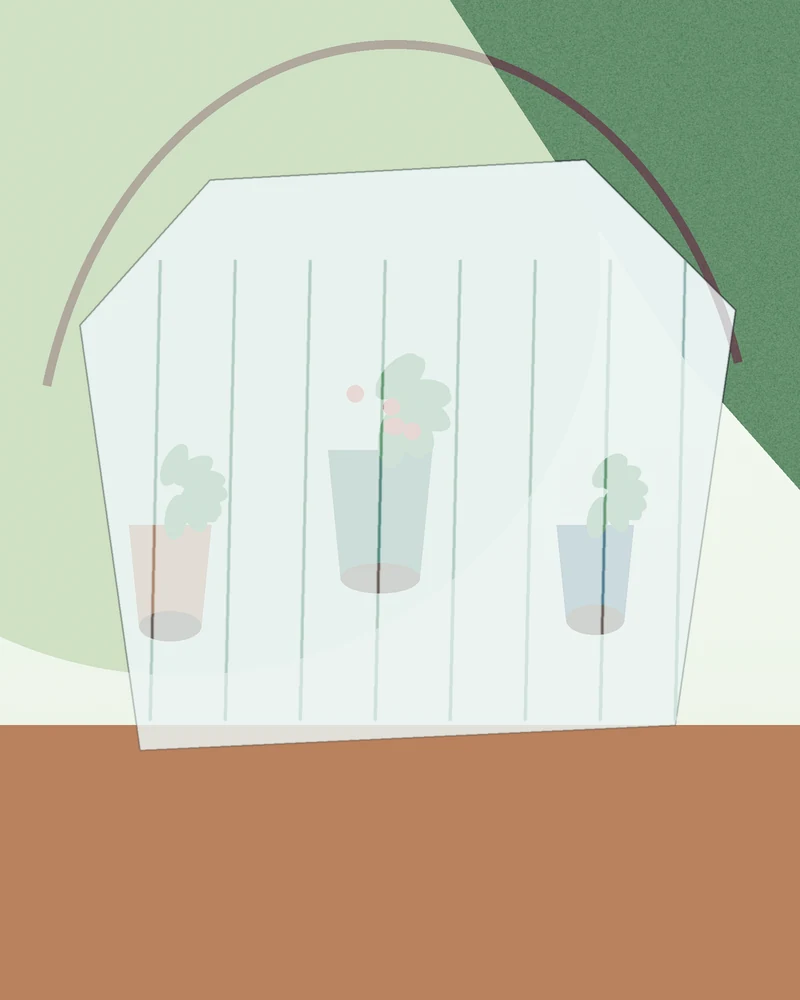 Groentepotte wat dig teen ’n beskutte houtmuur gegroepeer is