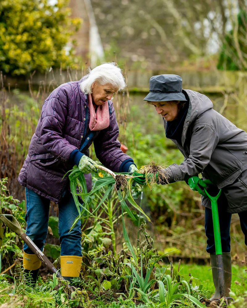 Twee vroue werk saam in ’n groentetuin aan die begin van lente