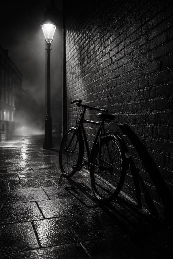 Noirfoto in portretformaat van ’n fiets onder ’n straatlamp.